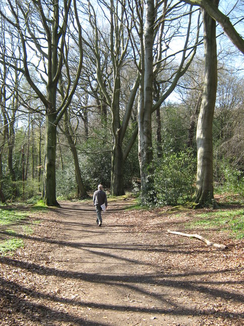 In Great High Wood