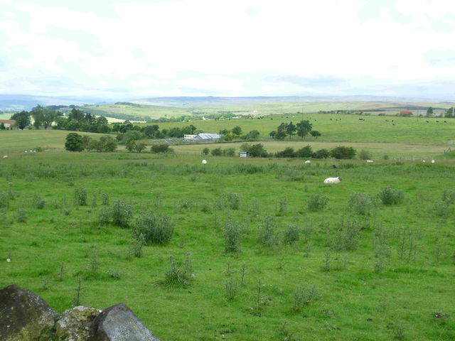 A view from Tow Law