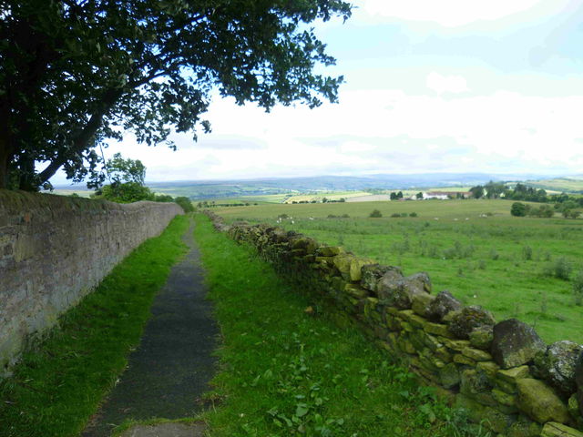 The Wear valley from the cemetery footpath