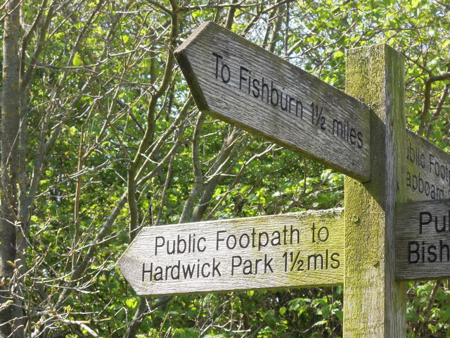 Hardwick Park walk