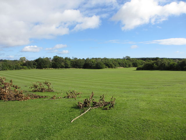 Open green space in Trimdon Grange
