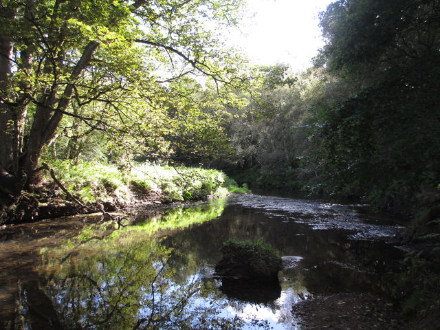 The River Browney along the railway path.