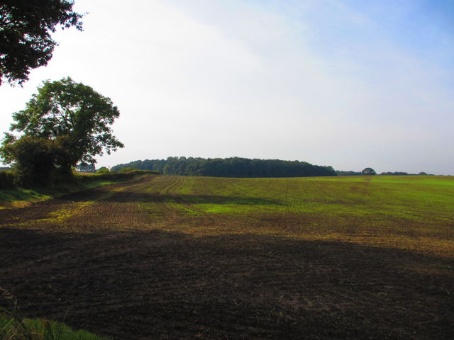 Walking around the fields of High Shincliffe