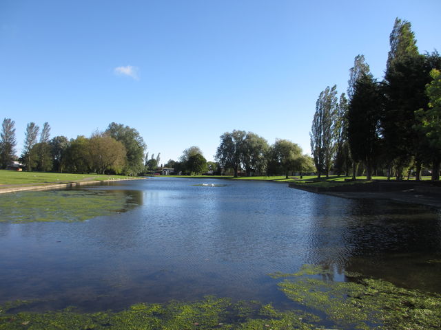 A pond in the park of Newton Aycliffe.