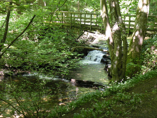 Woodland bridge
© Copyright malcolm tebbit and licensed for reuse under this Creative Commons Licence