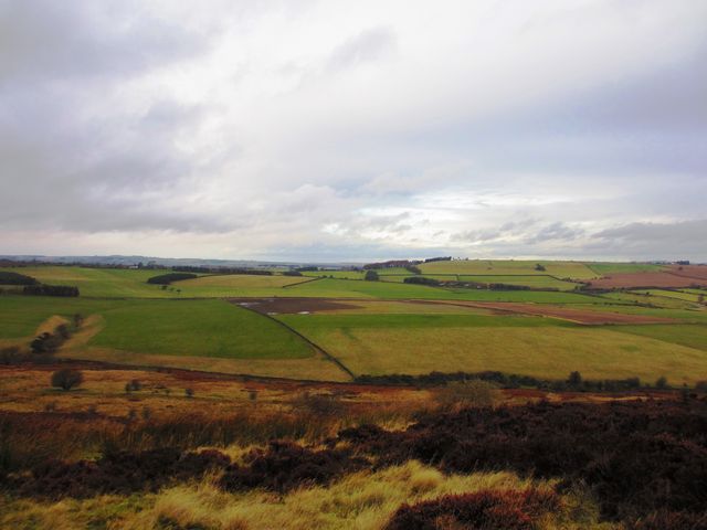 Views from the top of the Nature Reserve