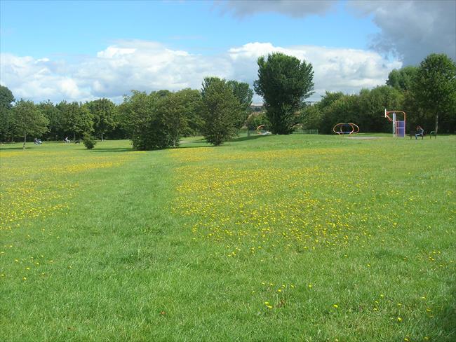 View across Monks Park