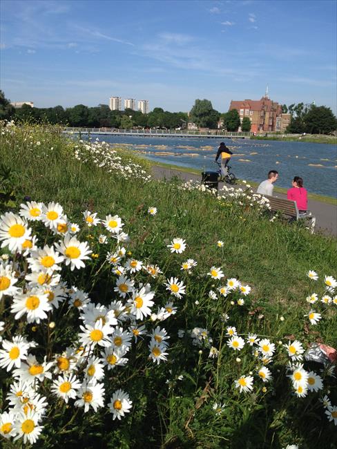 Burgess Park Lake