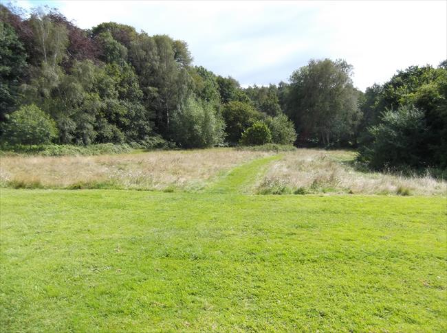 The path to follow from Charnhill Brow, after crossing the initial green area.