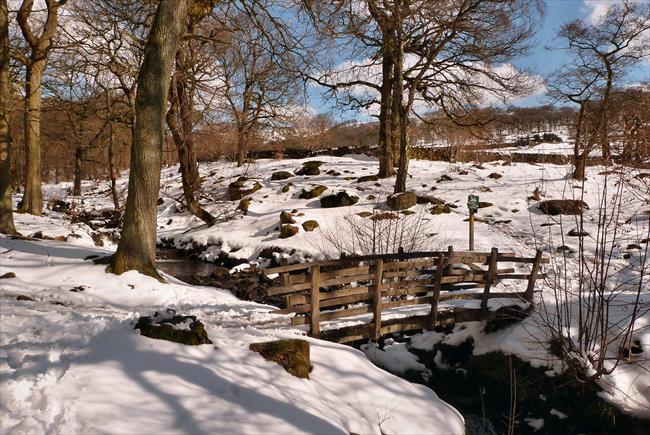 The bridge in The Warren