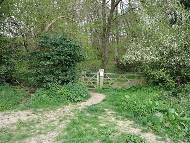 Main entrance to Church Wood RSPB reserve