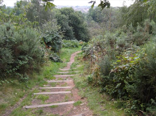 Descending the steps to Manor Road from Rodway Hill Common.