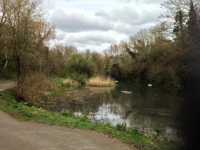 Crox Bottom Pond