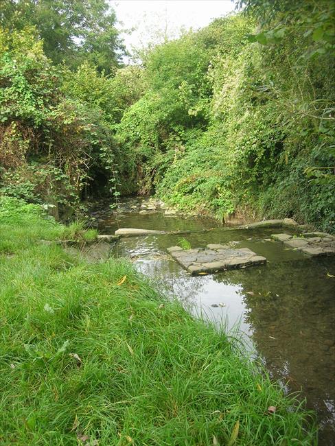 Stepping Stones over the Malago