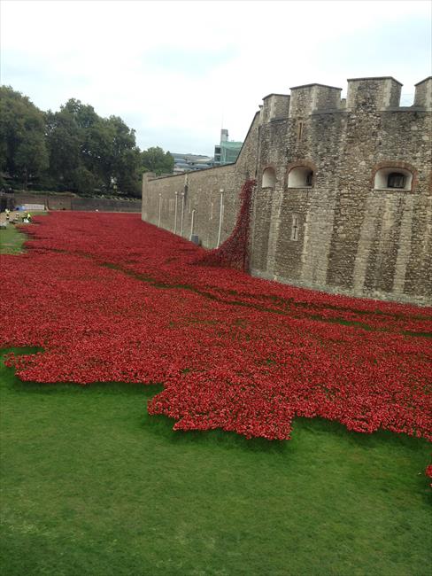 Blood Swept Lands and Seas of Red installation