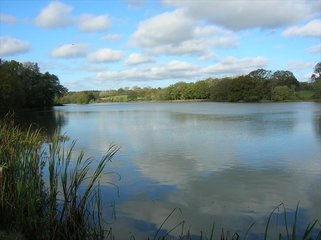 Another Lake view