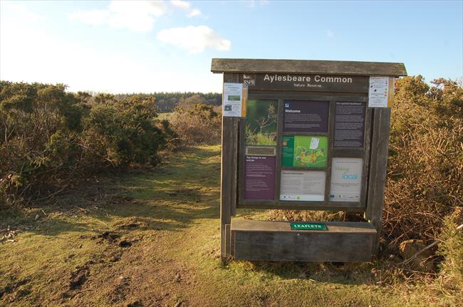 Aylesbeare Common RSPB Nature Reserve