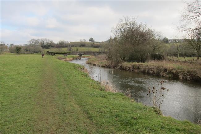 River Otter and disused railway bridge