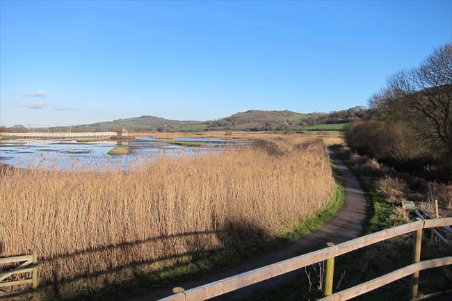 Black Hole Marsh