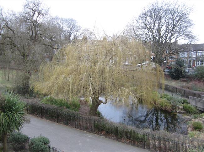 Lower Telegraph Hill Park