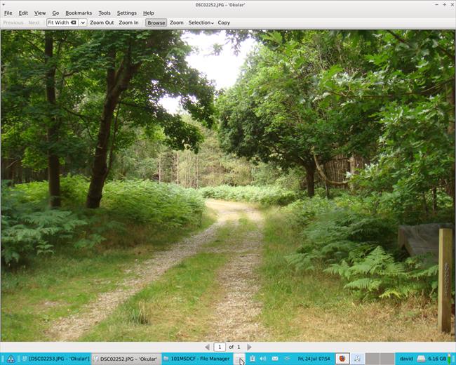 A path through Tunstall Forest