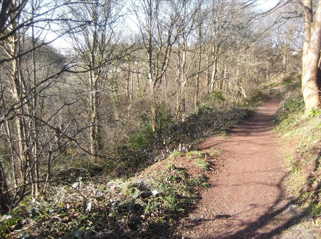 Path through St Anne's Woods.