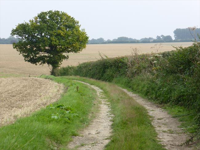 Stour Valley Walk