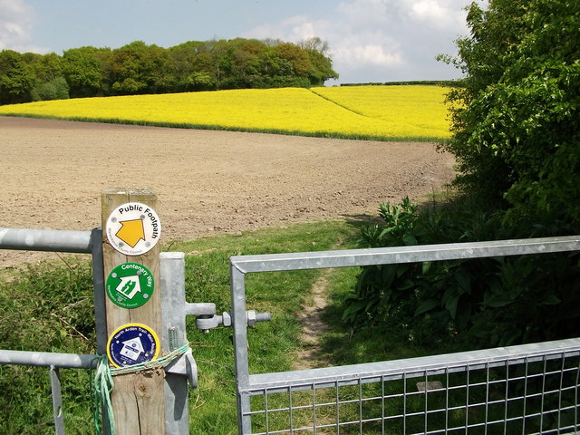 Path up to Brett's Hall Wood