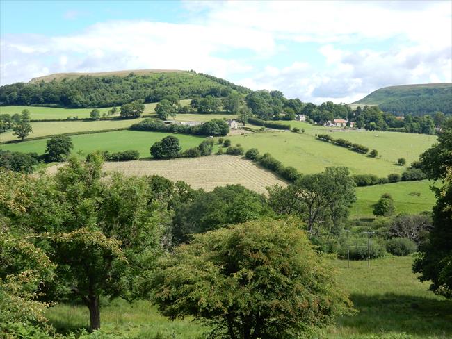 Looking back to Hawnby and Hawnby Hill 