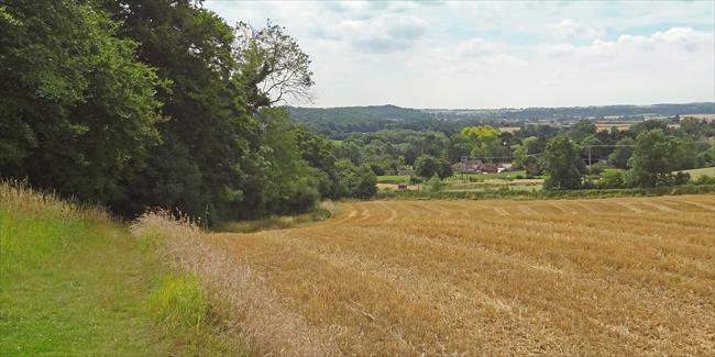 Descending Ashorne Hill