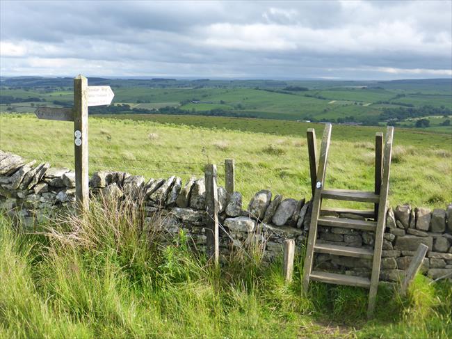 View from Ealingham Rigg