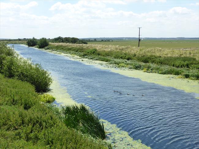 River Witham at Bardney