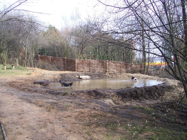 The pond at Sunnybank Nature Reserve