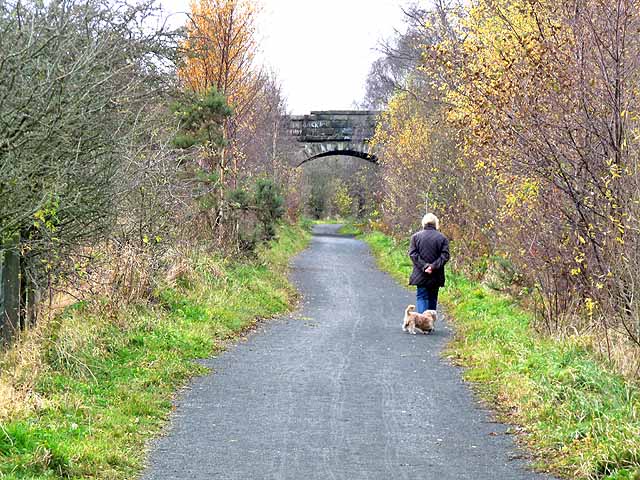 Lanchester Valley railway path