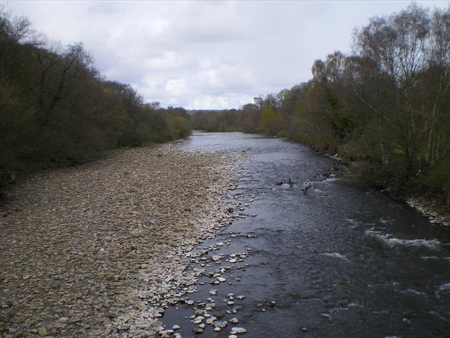 River Wear from Low Harperley bridge