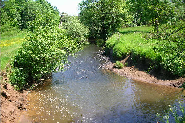 The River Clun near A4119