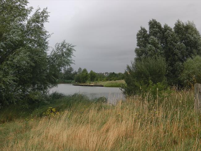 Lake at nature reserve