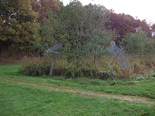 Dragonfly sculptures in Busk Meadow Park