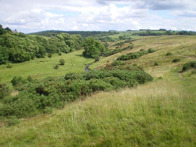 River Gaunless Valley