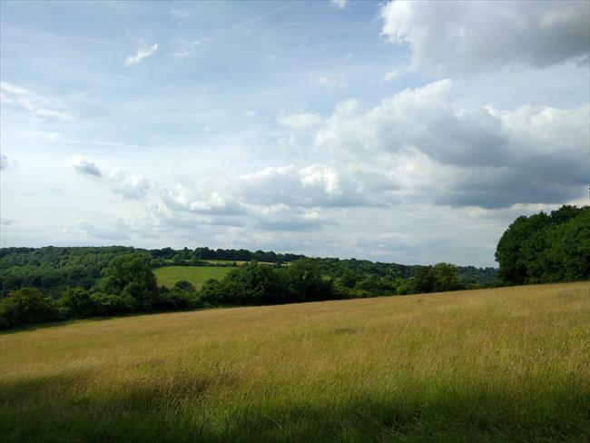 Shabden Park Farm (3)