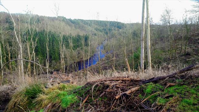 Winter view of Avon Gorge