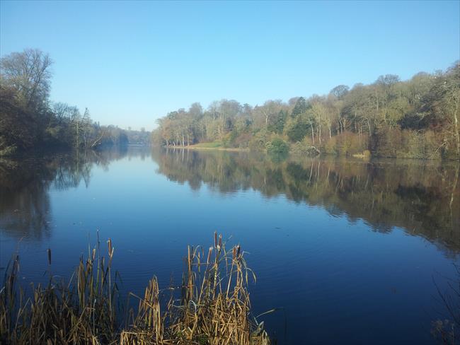 Fonthill Lake
(ST 937  310)