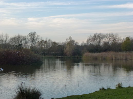 Mouldon Hill Lake just before sunset.