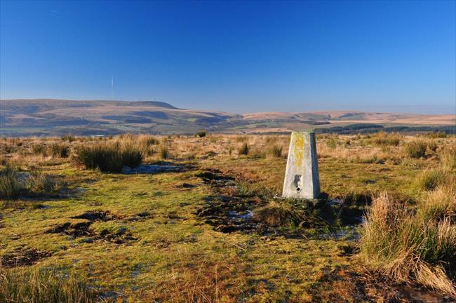 The trig pillar at Cheetham Close (329m)