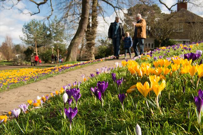 RHS Wisley