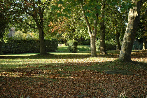 A view by Manor Close