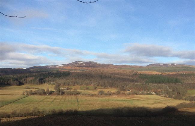 View north towards Ben Chonzie