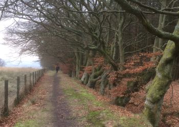 Path leading to Denovan Road