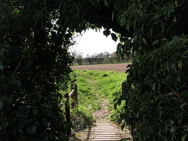 Footpath near Rattlesden