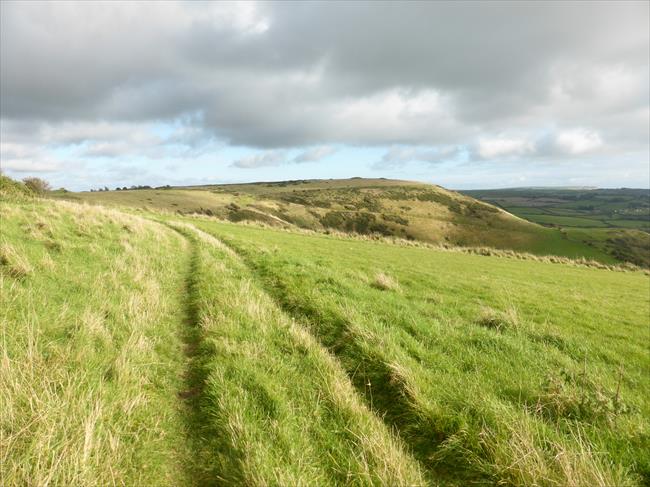 View from South Dorset Ridgeway